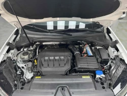 Volkswagen Tanyue 20
