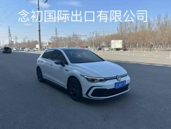 Volkswagen Golf 1