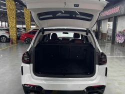 BMW X3 7
